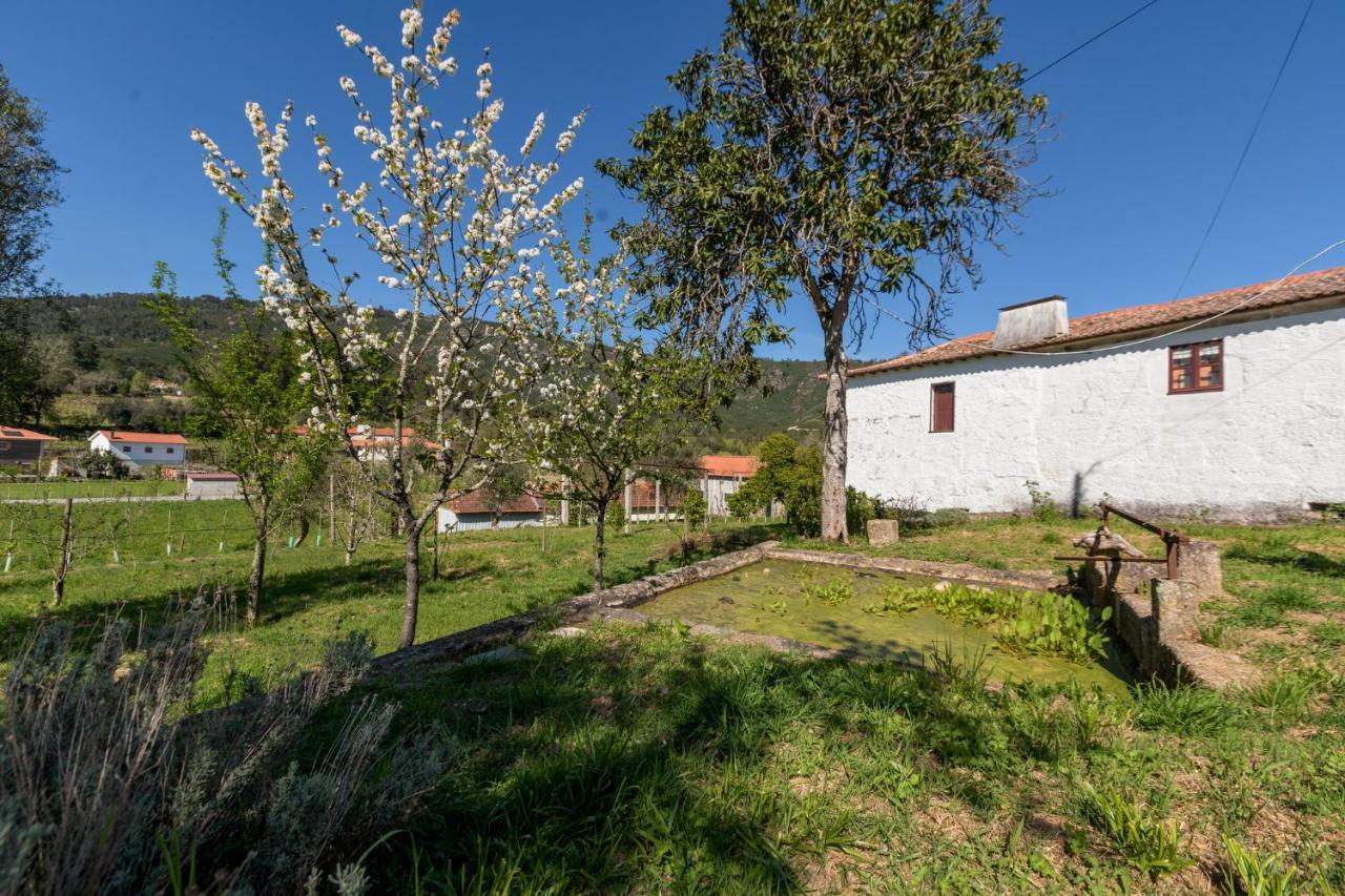 Casa Lavoura Em Requeixo Guest House Celorico De Basto Luaran gambar