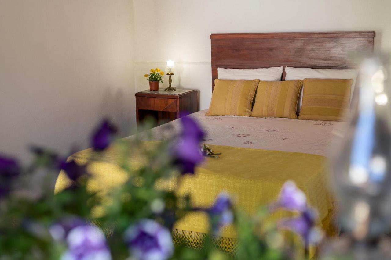 Casa Lavoura Em Requeixo Guest House Celorico De Basto Luaran gambar