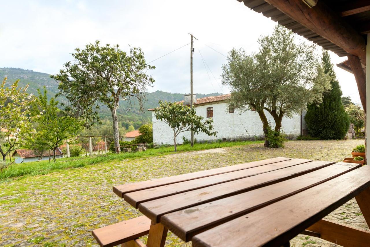 Casa Lavoura Em Requeixo Guest House Celorico De Basto Luaran gambar